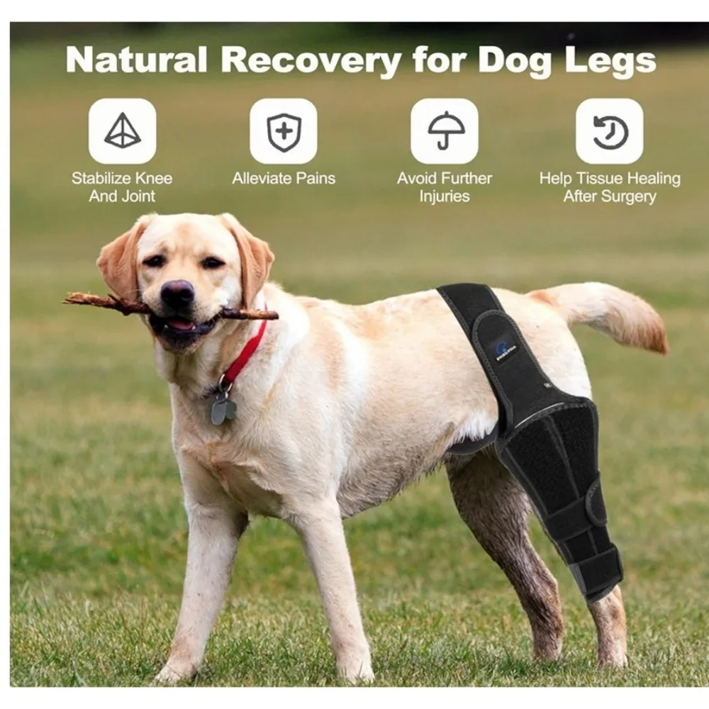 Foxlvda Dog Knee Brace Back Right Leg Size M
